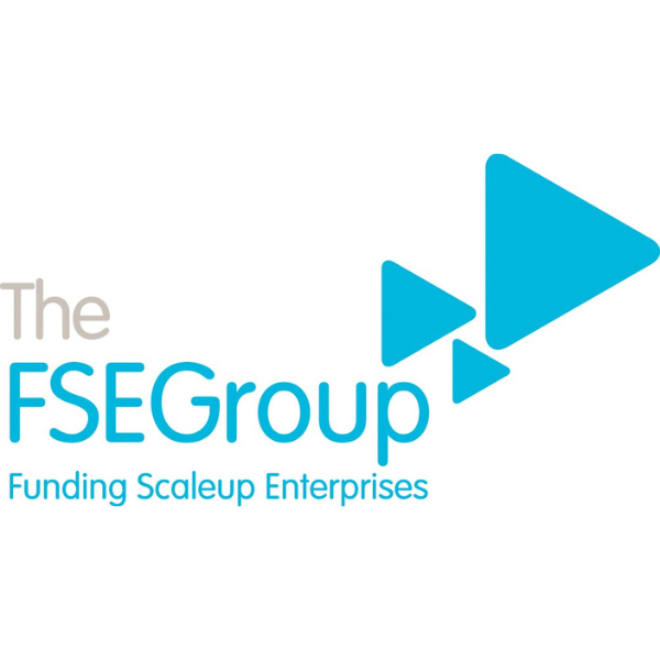 The FSE Group